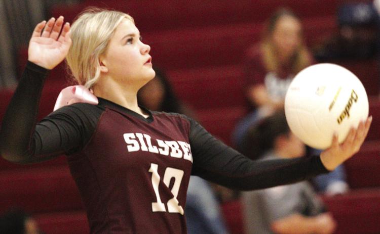 Lady Tigers end volleyball season